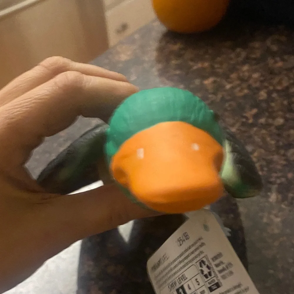 Vibrant Multicolor Duck Bird Toy